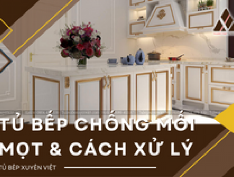   
          Loại tủ bếp chống mối mọt và những lưu ý khi sử dụng