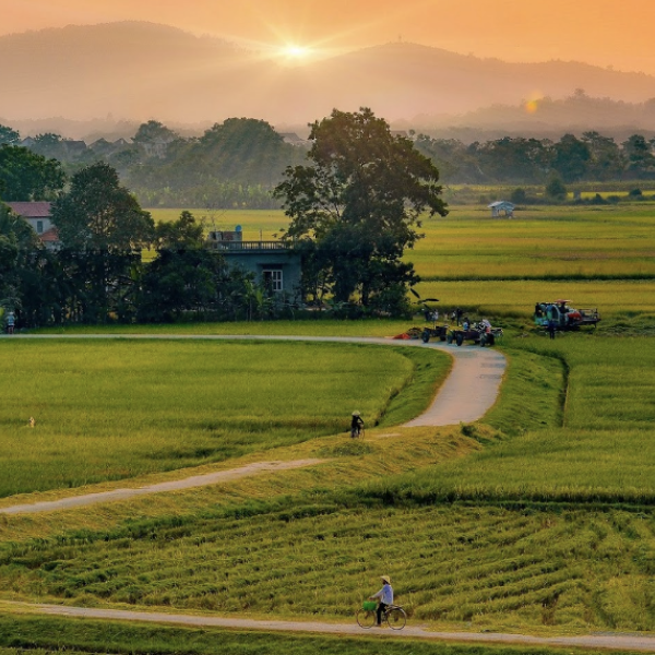   
          Kiều bào xa xứ - Canh cánh nỗi nhớ thương...