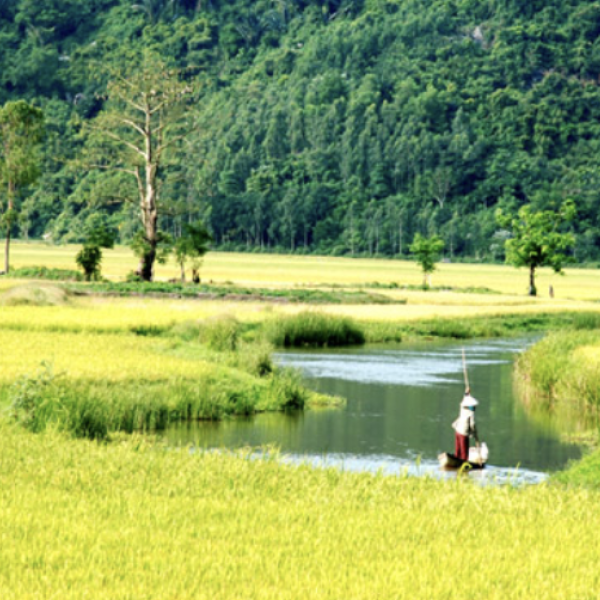   
          Quê hương - Nỗi nhớ nhung bất tận trong lòng...