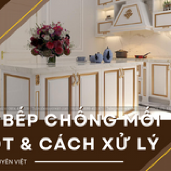   
          Loại tủ bếp chống mối mọt và những lưu ý khi...