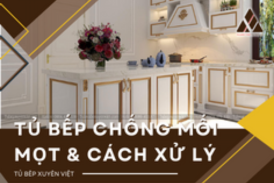   
          Loại tủ bếp chống mối mọt và những lưu ý khi sử dụng